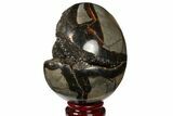 Septarian Dragon Egg Geode - Black Crystals #120906-1